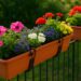Blumenkästen bepflanzen