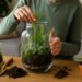 Eine Person bepflanzt ein Glas-Terrarium mit Farnen und Moosen – Schritt für Schritt Terrarium bepflanzen und ein grünes Mikroklima schaffen.